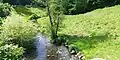 Schwarze Au tributary that flows into the Bille, in Aumühle