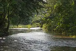 Pandasan River as viewed from Pandasan village