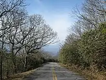 Road leading up to Brasstown Bald Summit