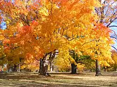 Genesee Valley Park