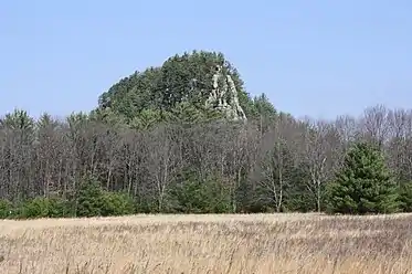 The park from the south