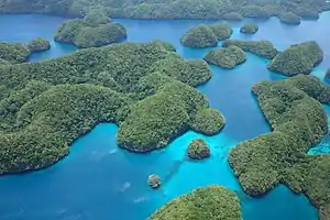 Aerial view of Rock Islands.