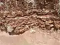 Bed of concretions in the Rock Point Formation near Youngsville, New Mexico