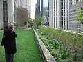 Rockefeller Center English Roof gardens, 2007. Photo taken by granddaughter of Ralph Hancock.