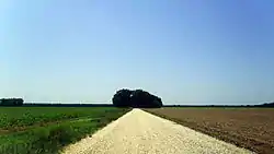 Rohwer War Relocation Center on the flat Delta horizon