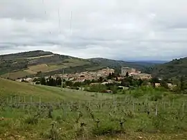 A general view of Roquetaillade