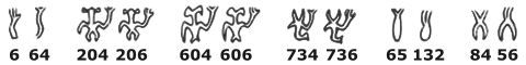 ligatures of various glyphs with the allographs 6 and 64