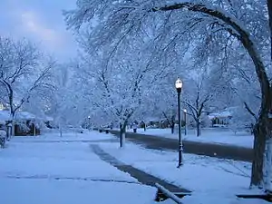 Image 12Snow in Rose Park, Salt Lake City (from Utah)