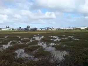 The suburb seen over the tidal flats surrounding it on most sides