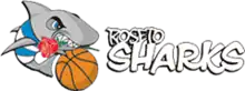 Roseto Sharks logo