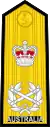 RAN admiral of the fleetshoulder board