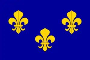 The royal banner of France or  "Bourbon flag"