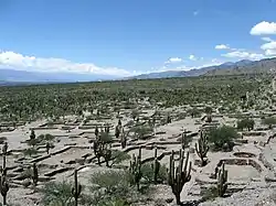 The Ruins of Quilmes in Tucumán Province