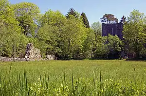 Weissenau Ruins