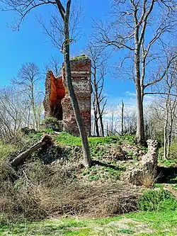 Ruins of Burg Stuer [de]