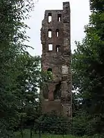 Kasteel Strijen, Oosterhout