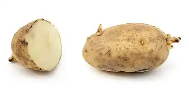 Russet potato