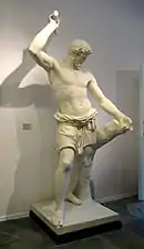 Russian Scaevola