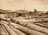 Sawmill with log yard