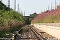 Greenroute at the abandoned station Munich Olympic Stadium