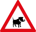 Warthogs ahead