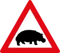 Hippos ahead