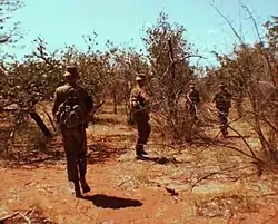 Image 7Members of 44 Parachute Brigade on patrol during the South African Border War. (from History of South Africa)