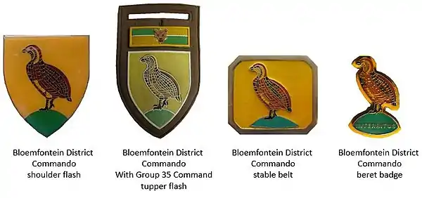 SADF era Bloemfontein District Commando insignia