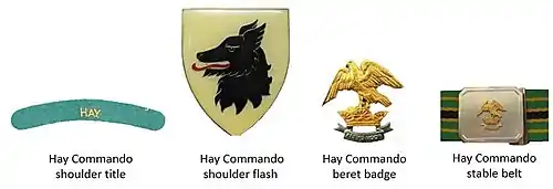 SADF era Hay Commando insignia