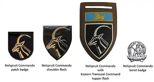 SADF era Nelspruit Commando insignia