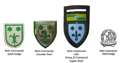 SADF era Reitz Commando insignia