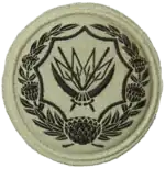 Badge for Reserve Voluntary Service