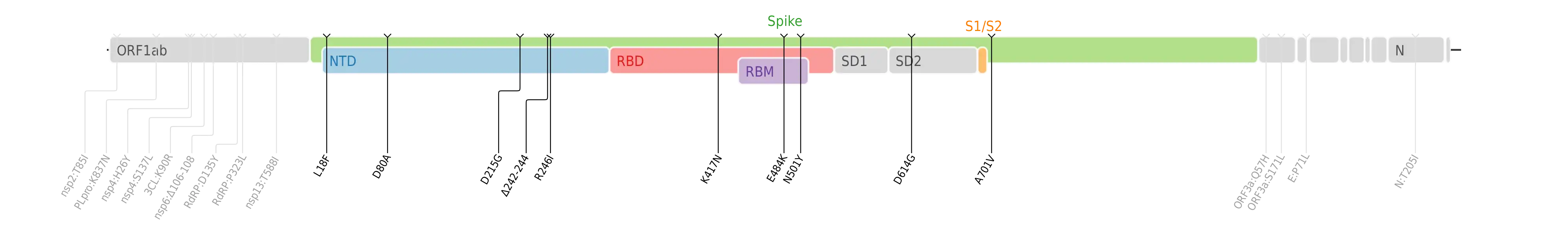 Amino acid mutations of SARS-CoV-2 Beta variant plotted on a genome map of SARS-CoV-2 with a focus on Spike.