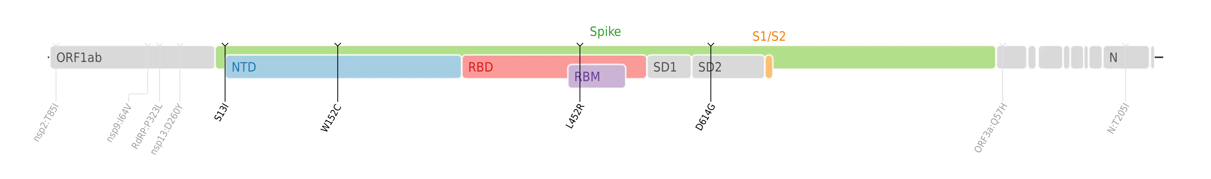 Amino acid mutations of SARS-CoV-2 Epsilon variant plotted on a genome map of SARS-CoV-2 with a focus on the spike.