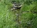 Simonson Brook at Barbieri Court, the drainage of the pool