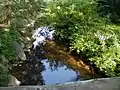 Simonson Brook running through the Bunker Hill Environmental Center