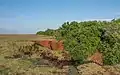 Red soil found in Ussangoda