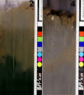 Here are two portions of sediment profiles taken 1 km from an aquaculture facility along the tidal current (left) and across (right).  The right hand scale divisions are 1 mm apart.