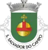 Coat of arms of São Salvador do Campo