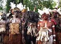 Papuan traditional clothes