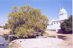 Pools of still water and a domed white temple partly obscured by trees.