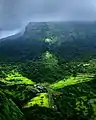 Sahyadri:One of the most Biodiverse regions in the world.