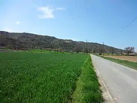 The Asse Valley and the Plateau de Valensole