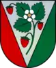 Coat of arms of Sala Municipality