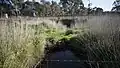 Culvert, mostly hidden by grass