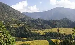 Salyan Fedi ricefield and portion of Dyamde ricefield