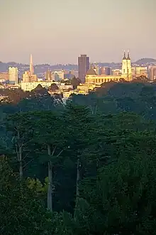 Downtown San Francisco from the hill