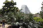 Lucile Halsell Conservatory