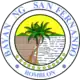 Official seal of San Fernando