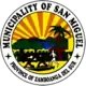 Official seal of San Miguel